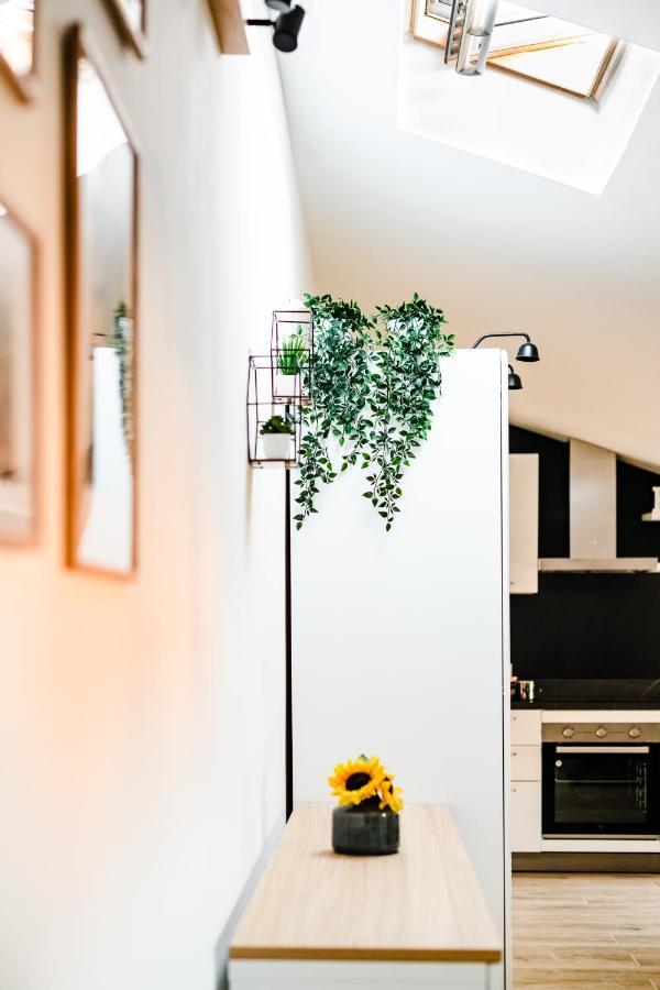 Mansarda Belli Ravenna Apartment Ngoại thất bức ảnh